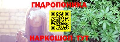 крисы Заводоуковск
