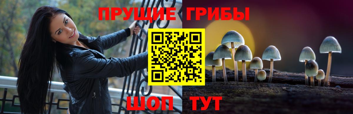 Галлюциногенные грибы Magic Shrooms  Вход с VPN  Галлюциногенные грибы MAGIC MUSHROOMS  сколько стоит  Люберцы 